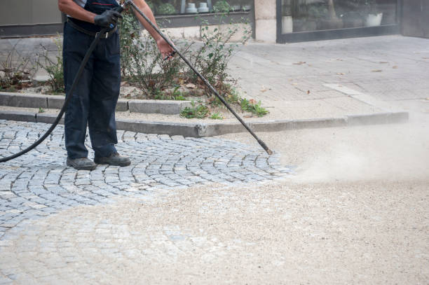 Animal Enclosure Cleaning in Tuolumne City, CA